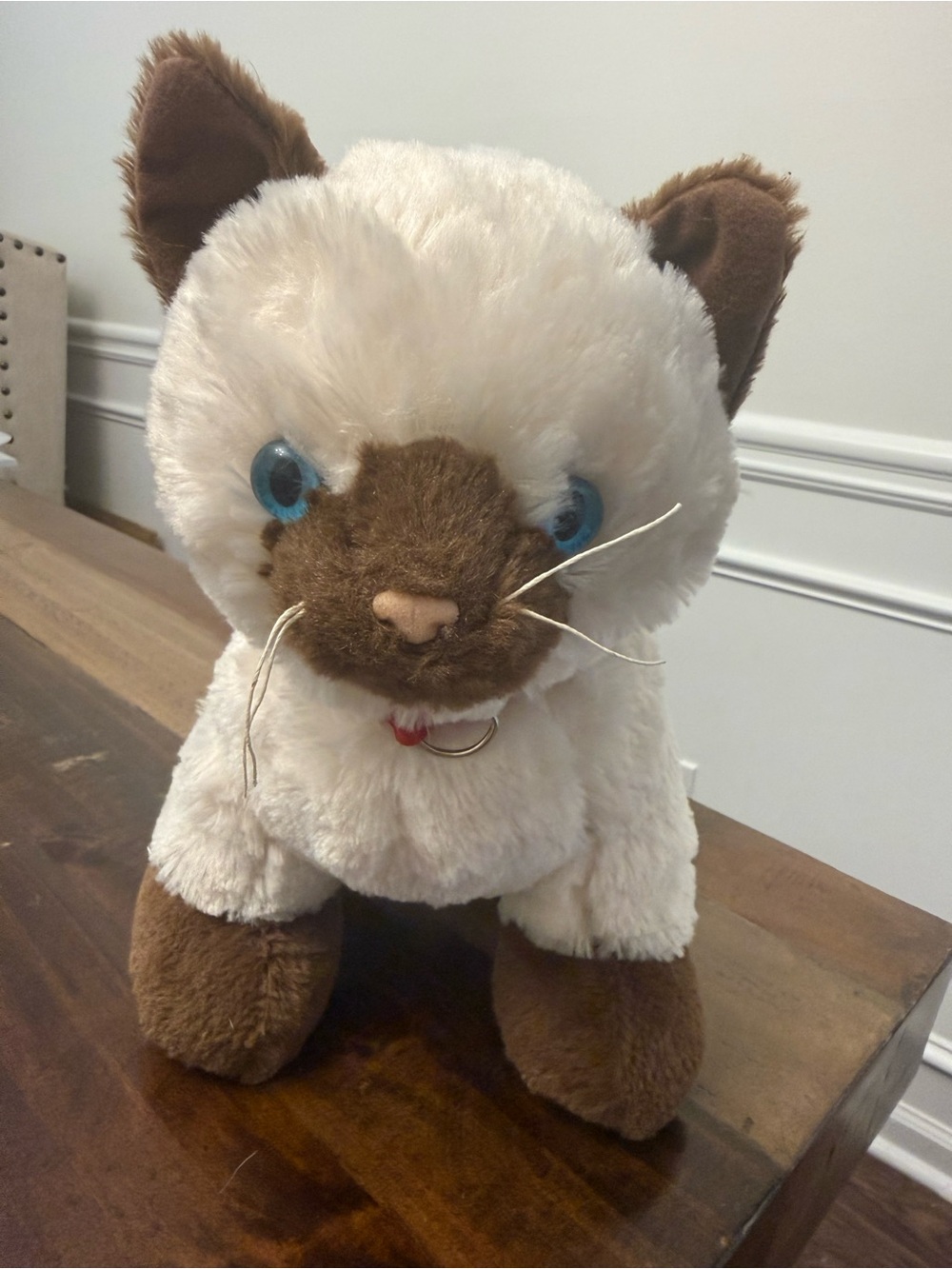 Build A Bear Promise Pets Siamese Himalayan Ragdoll Cat Plush Kitty 12" Collar